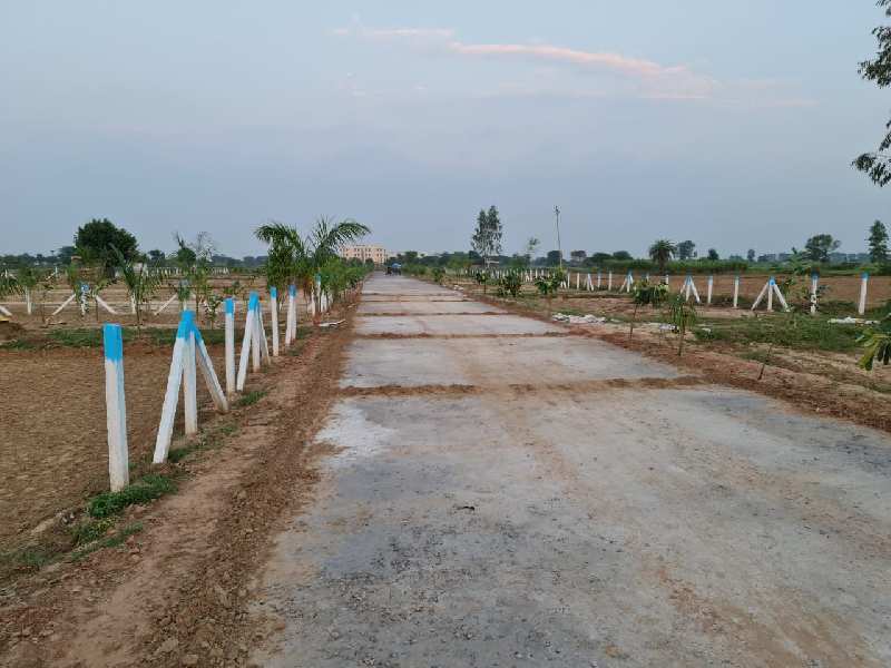 50 Sq. Yards Residential Plot for Sale in Sohna, Gurgaon