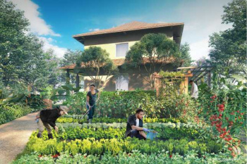 2 BHK Flats & Apartments for Sale in Tathawade, Pune (635 Sq.ft.)