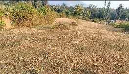 3 Acre Agricultural/Farm Land For Sale In Ramnagar, Nainital