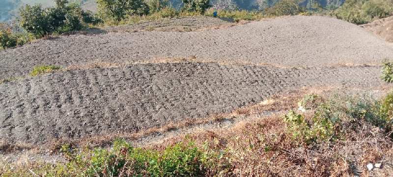 5 Acre Agricultural/Farm Land for Sale in Kotabagh, Nainital