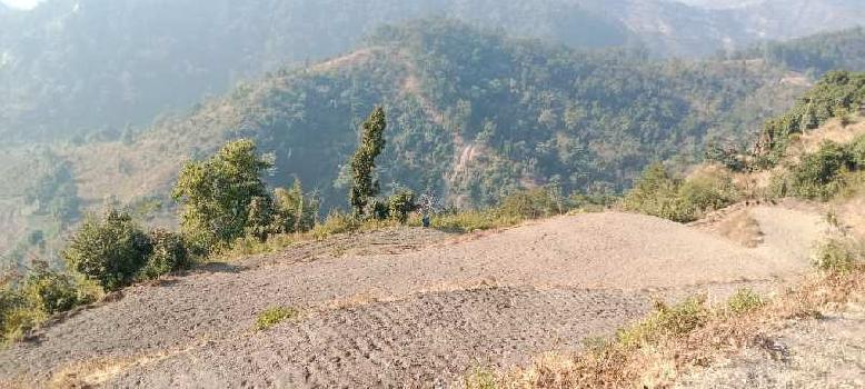 5 Acre Agricultural/Farm Land For Sale In Kotabagh, Nainital