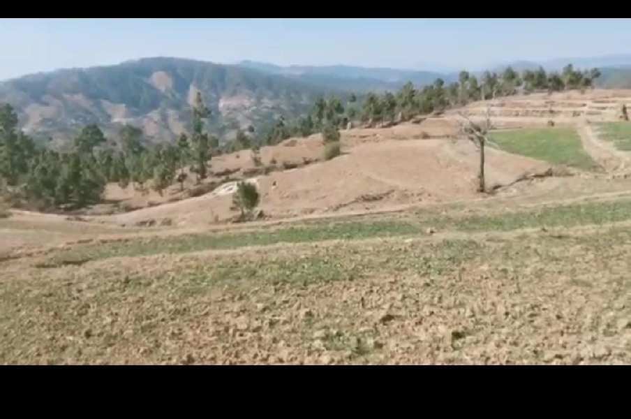 2.5 Acre Agricultural/Farm Land for Sale in Marchula, Almora