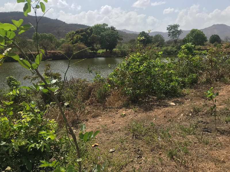 8 Acre Agricultural/Farm Land for Sale in Karjat, Mumbai