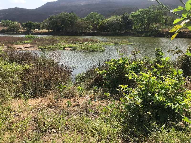 8 Acre Agricultural/Farm Land For Sale In Karjat, Mumbai