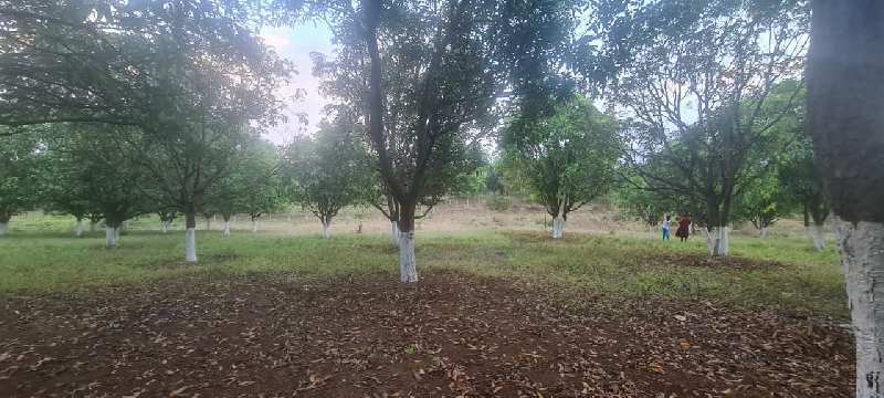 147 Guntha Agricultural/Farm Land for Sale in Karjat, Raigad