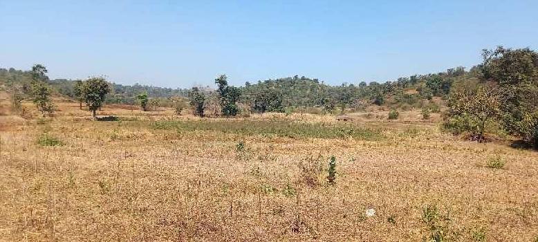 20 Acre Agricultural/Farm Land for Sale in Sudhagad, Raigad
