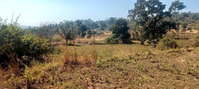 20 Acre Agricultural/Farm Land for Sale in Sudhagad, Raigad