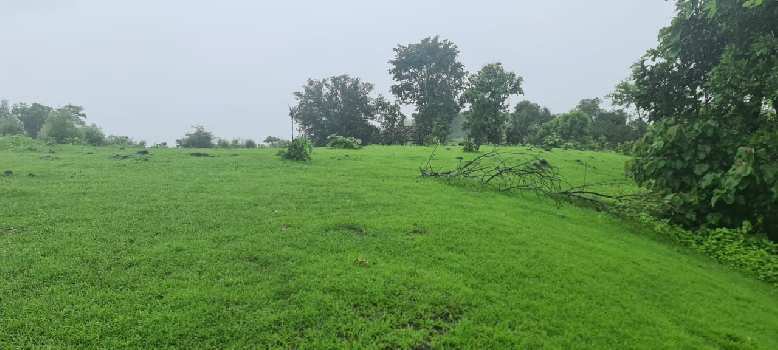 Property for sale in Pali, Raigad