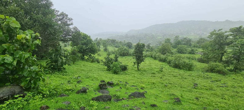 khopoli pali road, hill top land.