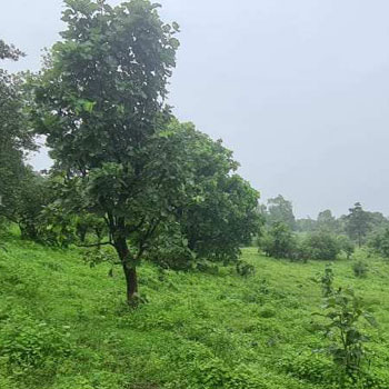 Property for sale in Pali, Raigad