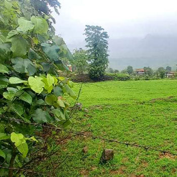 Property for sale in Sudhagad, Raigad