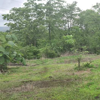 Property for sale in Sudhagad, Raigad