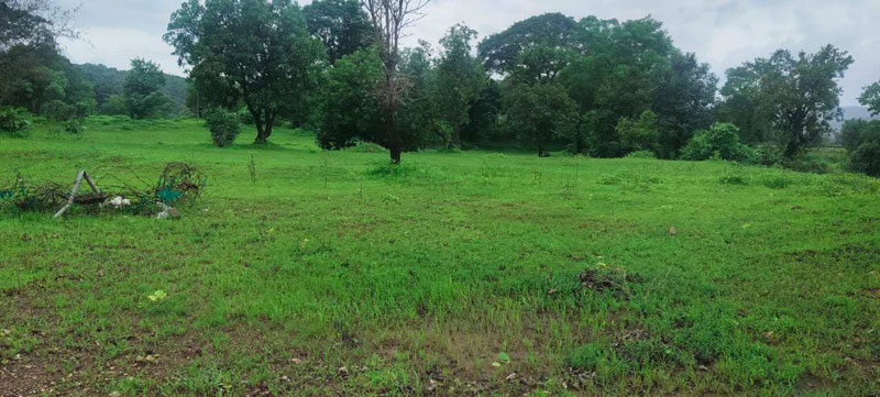 3 Acre Agricultural/Farm Land for Sale in Khalapur, Navi Mumbai
