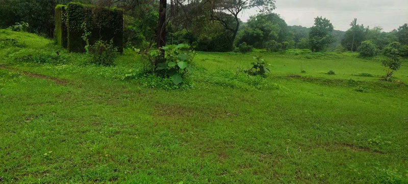 3 Acre Agricultural/Farm Land for Sale in Khalapur, Navi Mumbai