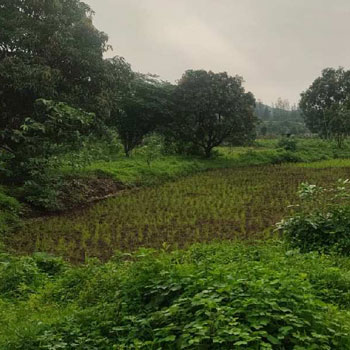 700 Sq.ft. Agricultural/Farm Land for Sale in Karjat, Raigad