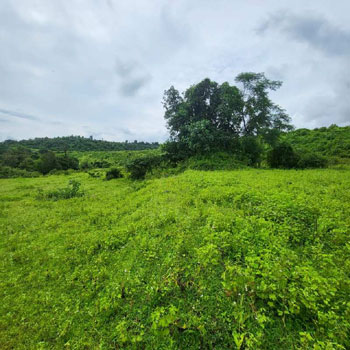 Property for sale in Sudhagad, Raigad