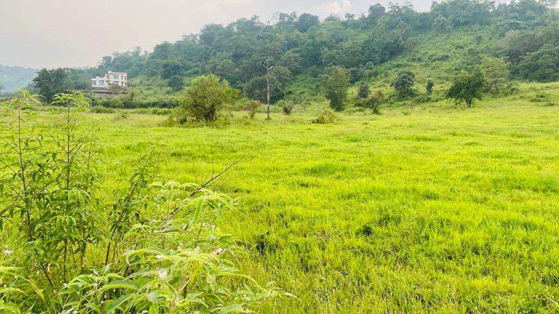 5 Acre Agricultural/Farm Land for Sale in Sudhagad, Raigad
