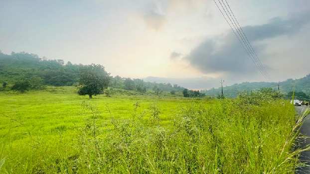 Property for sale in Sudhagad, Raigad