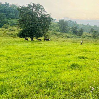 Property for sale in Sudhagad, Raigad
