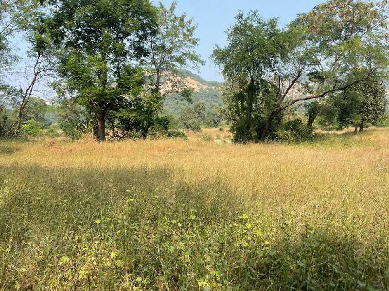 khalapur 23 guntha agricultural farm land