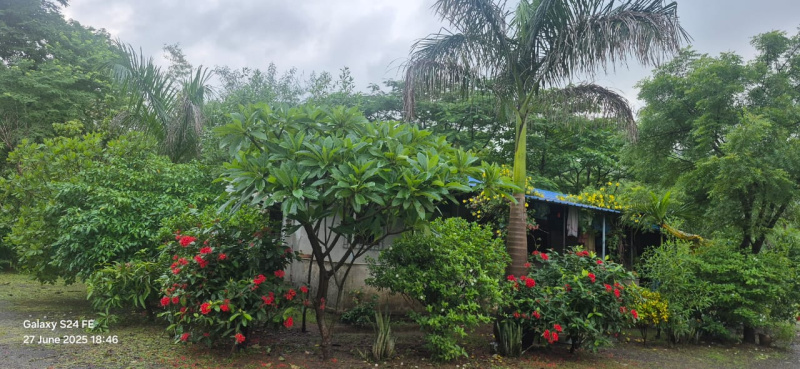 Agricultural/Farm Land For Sale In Khalapur, Raigad (228 Guntha)