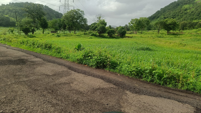 Agricultural/Farm Land For Sale In Khalapur, Raigad (10 Acre)