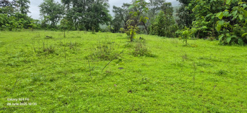 Property for sale in Sudhagad, Raigad
