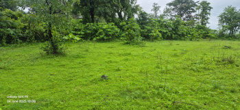 Property for sale in Sudhagad, Raigad