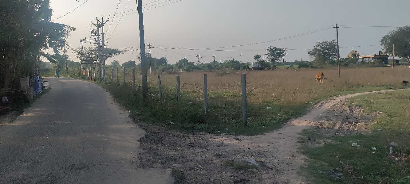 223 Cent Agricultural/Farm Land For Sale In Kadambathur, Thiruvallur