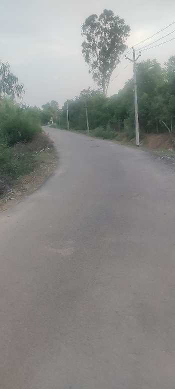 54 Acre Industrial Land / Plot for Sale in Mappedu, Chennai