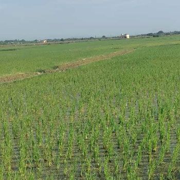 Property for sale in Kadambathur, Thiruvallur