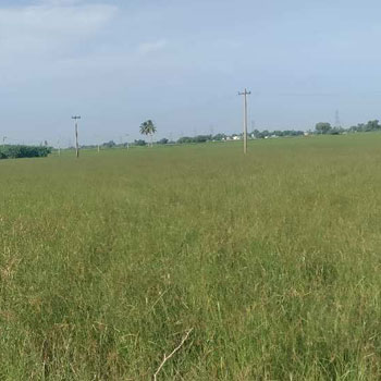 7.0 Acre Agricultural/Farm Land for Sale in Perambakkam, Thiruvallur