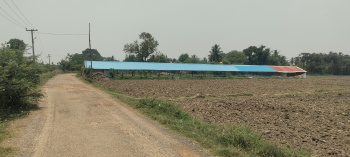 530 Cent Agricultural/Farm Land for Sale in Perambakkam, Thiruvallur