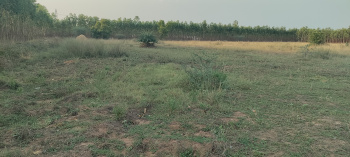 Property for sale in Poondi, Thiruvallur