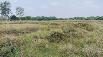 Property for sale in Pattaraiperumbudur, Thiruvallur