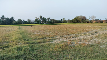 370 Cent Agricultural/Farm Land for Sale in Perambakkam, Thiruvallur