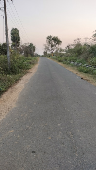 180 Cent Agricultural/Farm Land for Sale in Sunguvarchatram, Kanchipuram