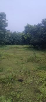 Property for sale in Sunguvarchatram, Kanchipuram