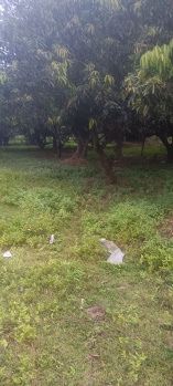 118 Cent Agricultural/Farm Land for Sale in Sunguvarchatram, Kanchipuram