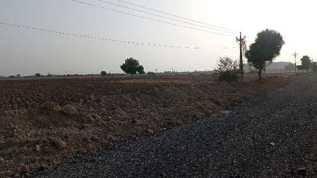 16 Bigha Agricultural/Farm Land for Sale in Mandal, Ahmedabad