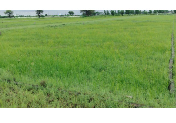 Property for sale in Tarapur, Anand