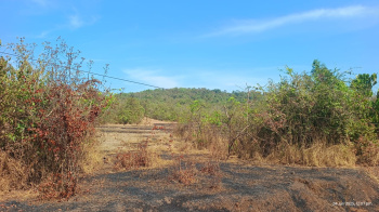 Residential Plot for Sale in Sawantwadi, Sindhudurg (100 Acre)