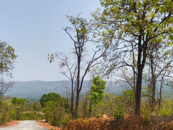 Residential Plot for Sale in Sawantwadi, Sindhudurg (50 Acre)