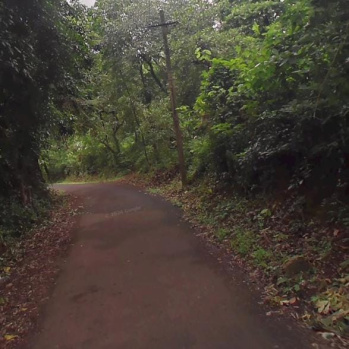 Residential Plot for Sale in Mandrem, North Goa, Goa (3000 Sq. Meter)
