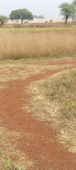 Walking distance from new dhamtari road