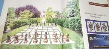 1500 Sq.ft. Residential Plot for Sale in Amleshwar, Raipur