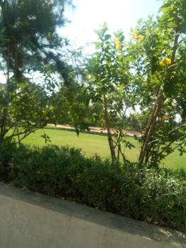Property for sale in New Dhamtari Road, Raipur