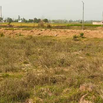 3 Acre Industrial Land / Plot for Sale in Barwala Road, Dera Bassi