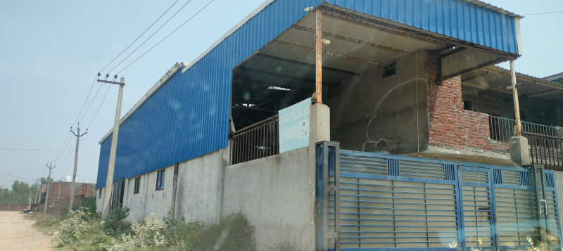 Factory shed for rent in dera bassi