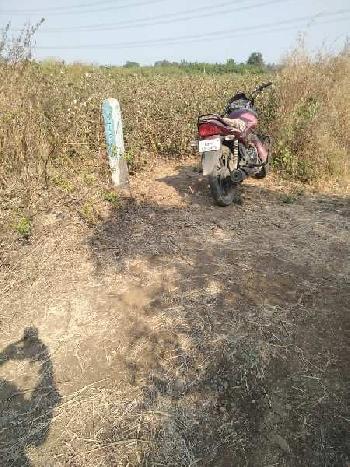 6.5 Acre Agricultural/Farm Land for Sale in Narkhed, Nagpur